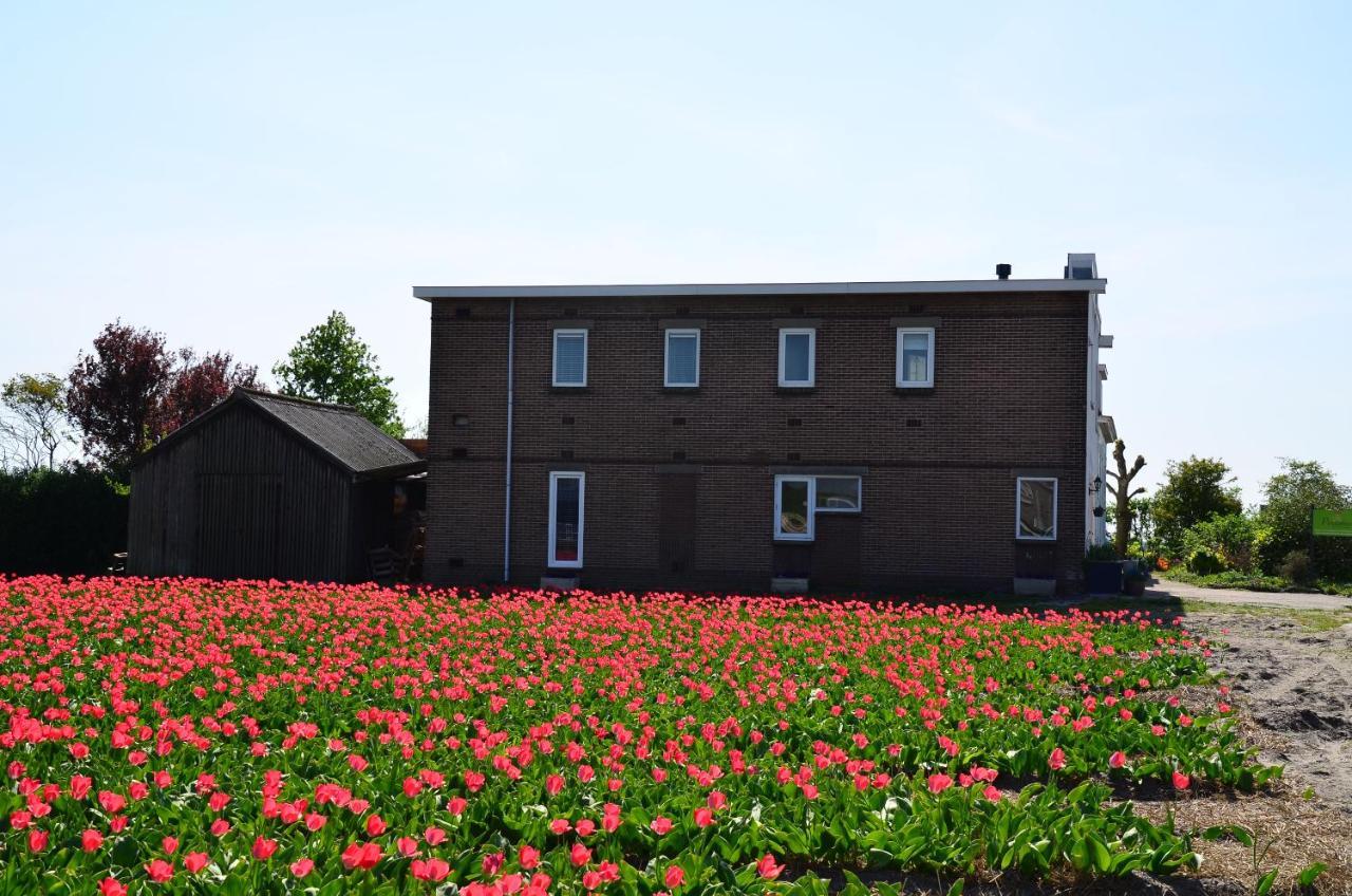Wellness Pergamo * Voorhout
